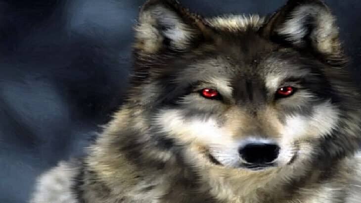 تفسير حلم الذئب إقرأ حلم عضة الذئب الذئاب تهاجم حلم الذئب للحامل