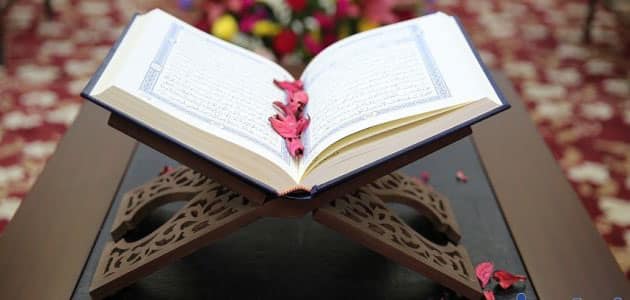 تفسير رؤية تجويد القرآن وتفسيره في المنام للنابلسي معلومة ثقافية