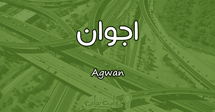 معنى اسم اجوان Agwan وأسرار شخصيتها وصفاتها معلومة ثقافية
