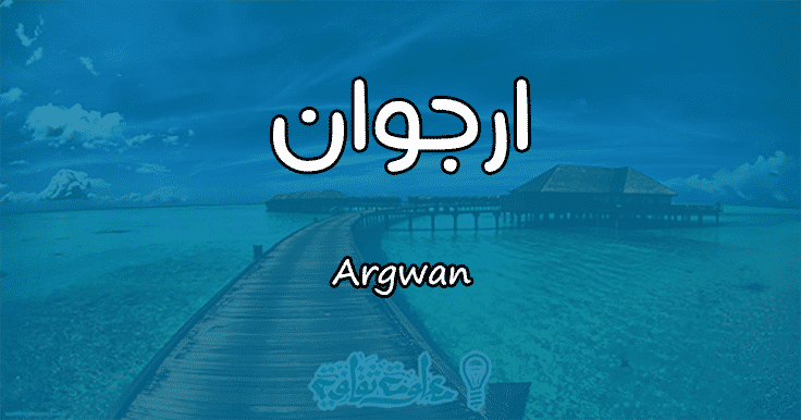 معنى اسم أرجوان Argwan وأسرار شخصيتها وصفاتها معلومة ثقافية
