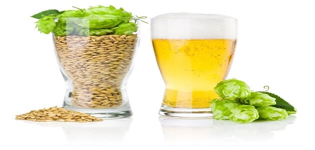 أهم فوائد شراب الشعير الخالي من الكحول بالتفصيل معلومة ثقافية