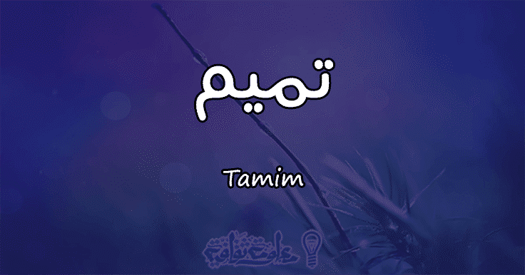 معنى اسم تميم Tamim وصفات حامل الاسم معلومة ثقافية