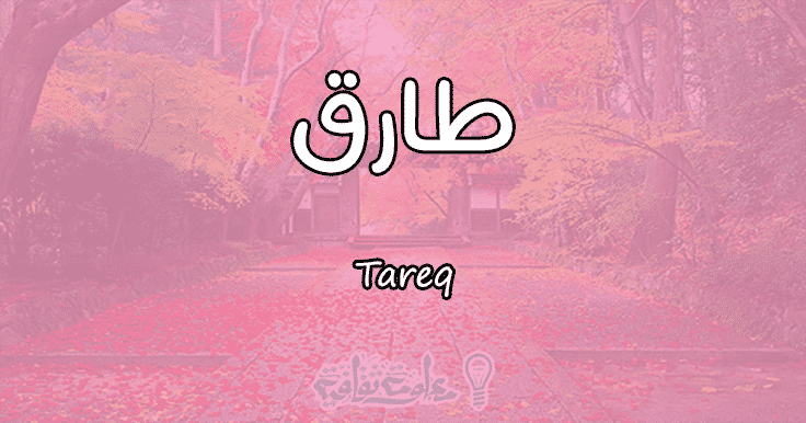 معنى اسم طارق Tareq وصفات حامل الاسم معلومة ثقافية