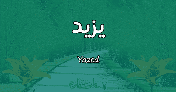 معنى اسم يزيد Yazed وأسرار شخصيته وصفاته معلومة ثقافية
