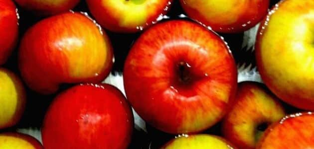 تفسير التفاح الأحمر في المنام للإمام الصادق معلومة ثقافية
