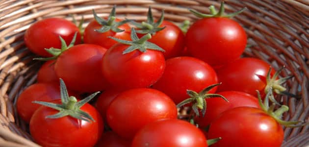 تفسير حلم الطماطم لابن سيرين معلومة ثقافية