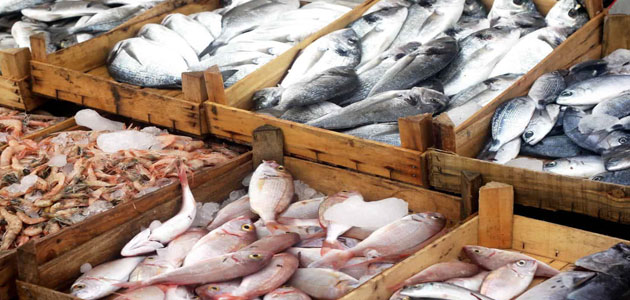 تفسير رؤية السمك في المنام أكل شراء طبخ صيد معلومة ثقافية