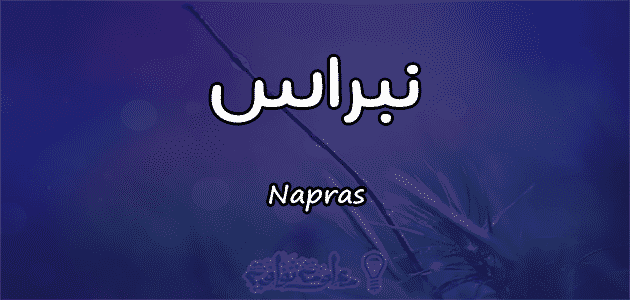 معنى اسم نبراس Napras وصفات حاملة الاسم معلومة ثقافية