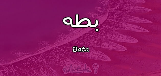 معنى اسم بطه Bata واسرار شخصيتها وصفاتها معلومة ثقافية